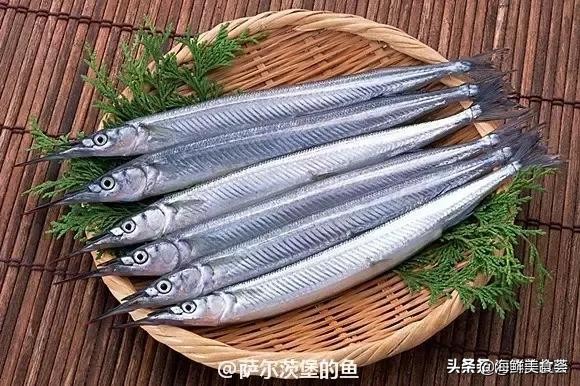 各种寿司纯鲜三文鱼刺身,日本传统寿司都用什么鱼