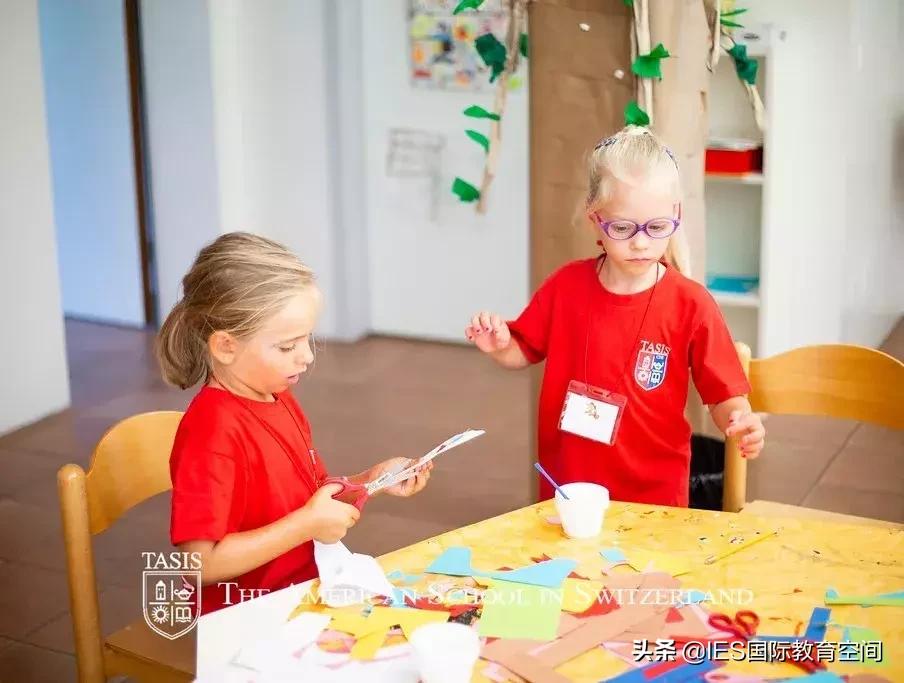 瑞士蒙特勒国际学校夏令营,瑞士tasis学校的入学要求