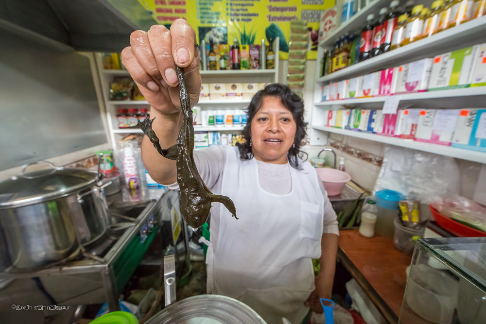 秘鲁青蛙汁的功效与作用,秘鲁青蛙榨汁做法