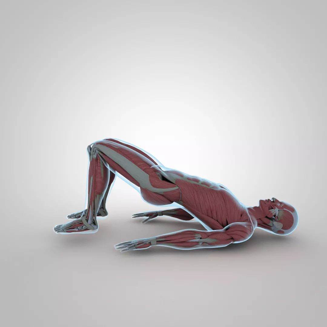 5个臀部动作练屁股,5个需要了解的臀部训练