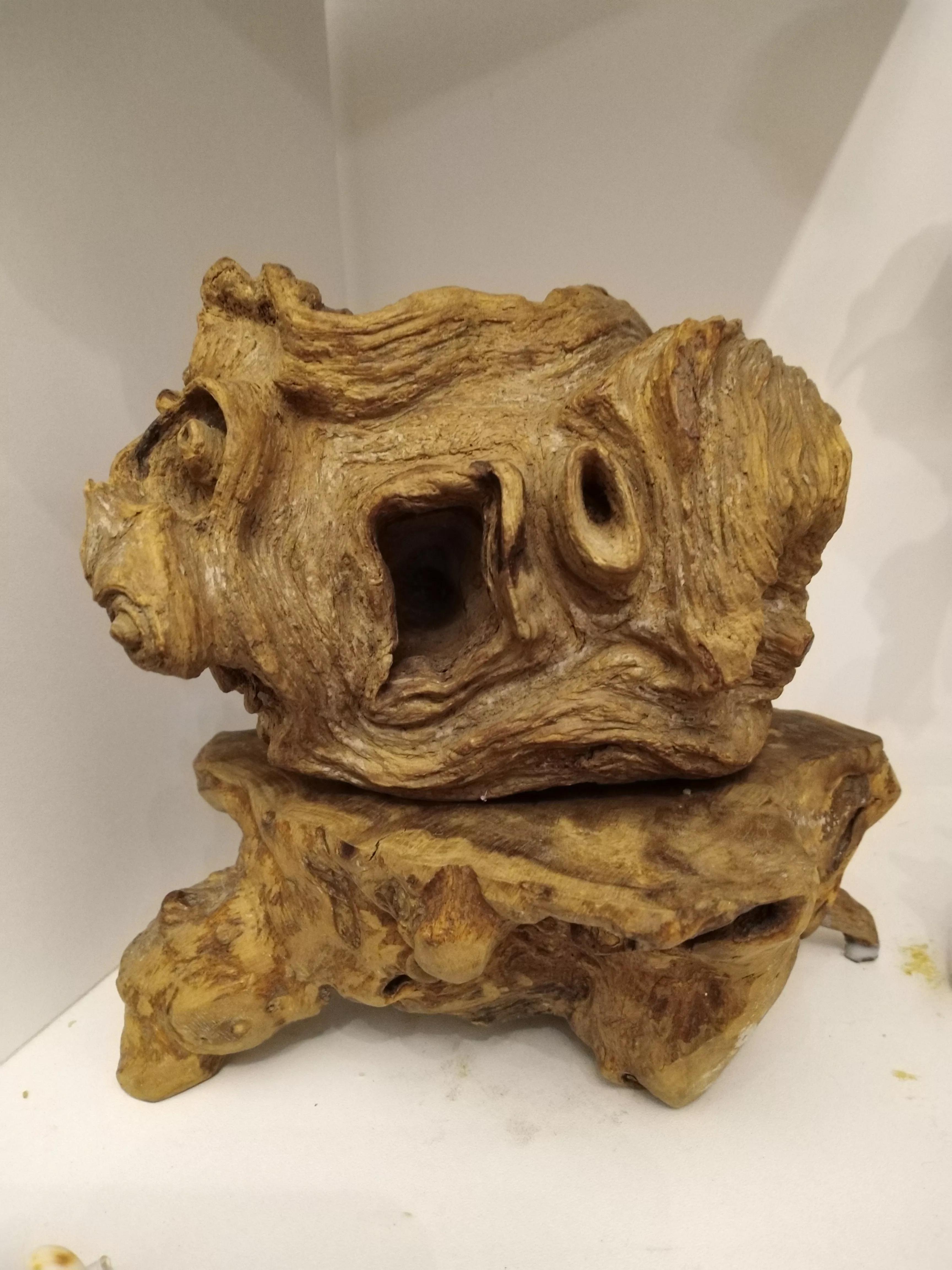 发现大自然的美的作文500字,发现大自然的美一篇作文