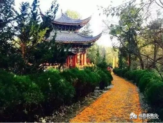 来大理一定要来的寂照庵,大理最富盛名的寺庙