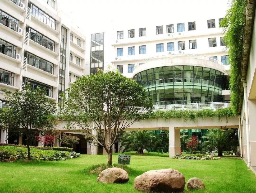 上海菜小的逆袭，最值得关注的10所公办小学！