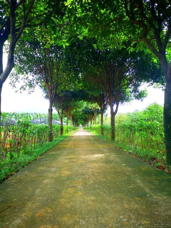 江枫千帆,江枫遇见邀月