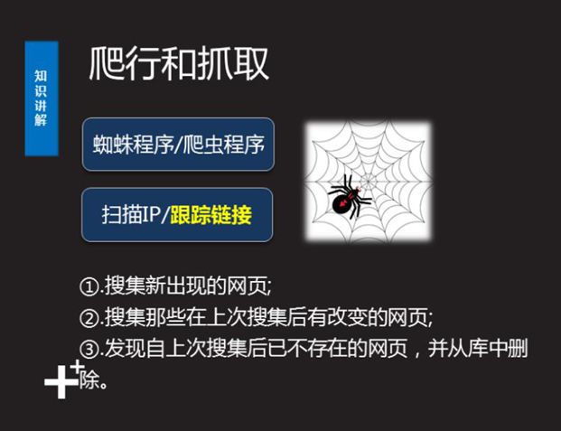 谷歌seo新手入门seo教程,seo优化基础知识新手必备seo顾问