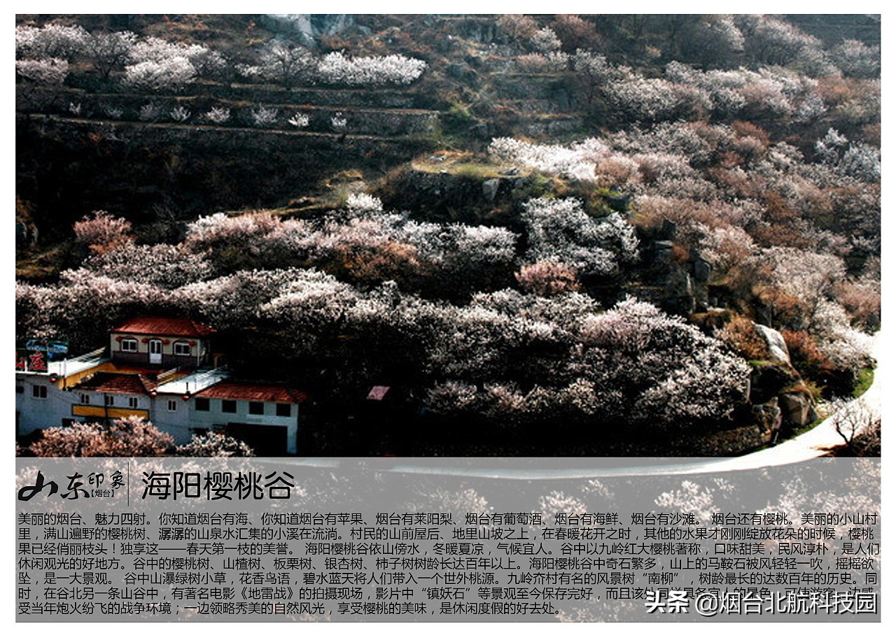 烟台游玩十大必去景点,烟台最坑人的三个景点