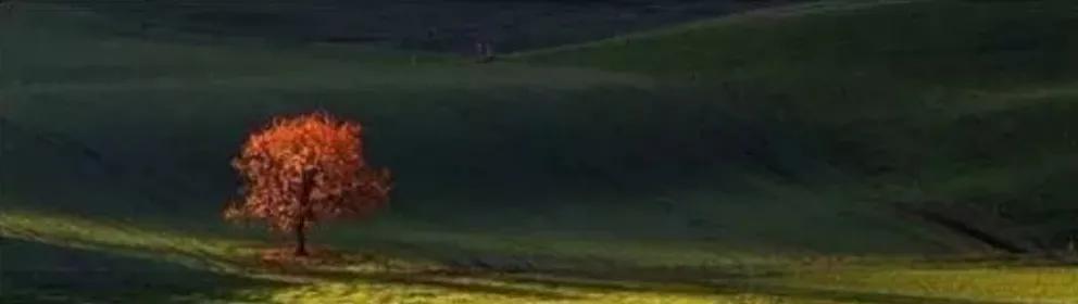 身边的隐形刺客,身边隐形杀手