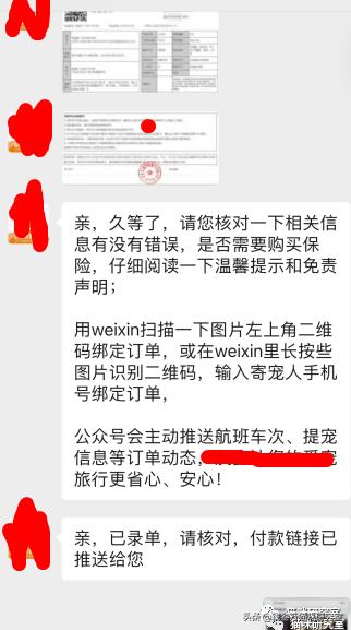 给大家介绍宠物托运的全过程,找托运宠物公司托运宠物注意什么