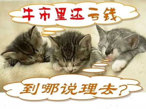 坤鹏论为什么投资银行,坤鹏论怎么选股