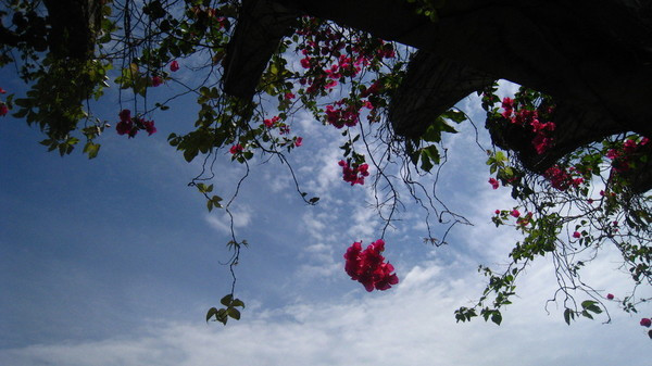 三亚自由行6天最佳攻略,三亚自由行海边游玩攻略