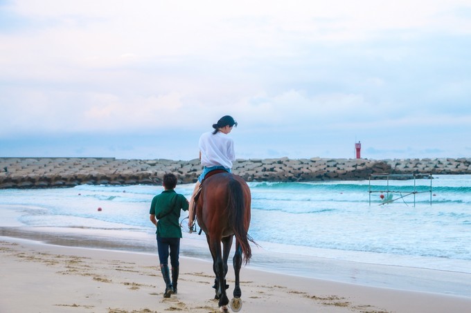 三亚珍珠海岸,距离三亚不远最美海岛