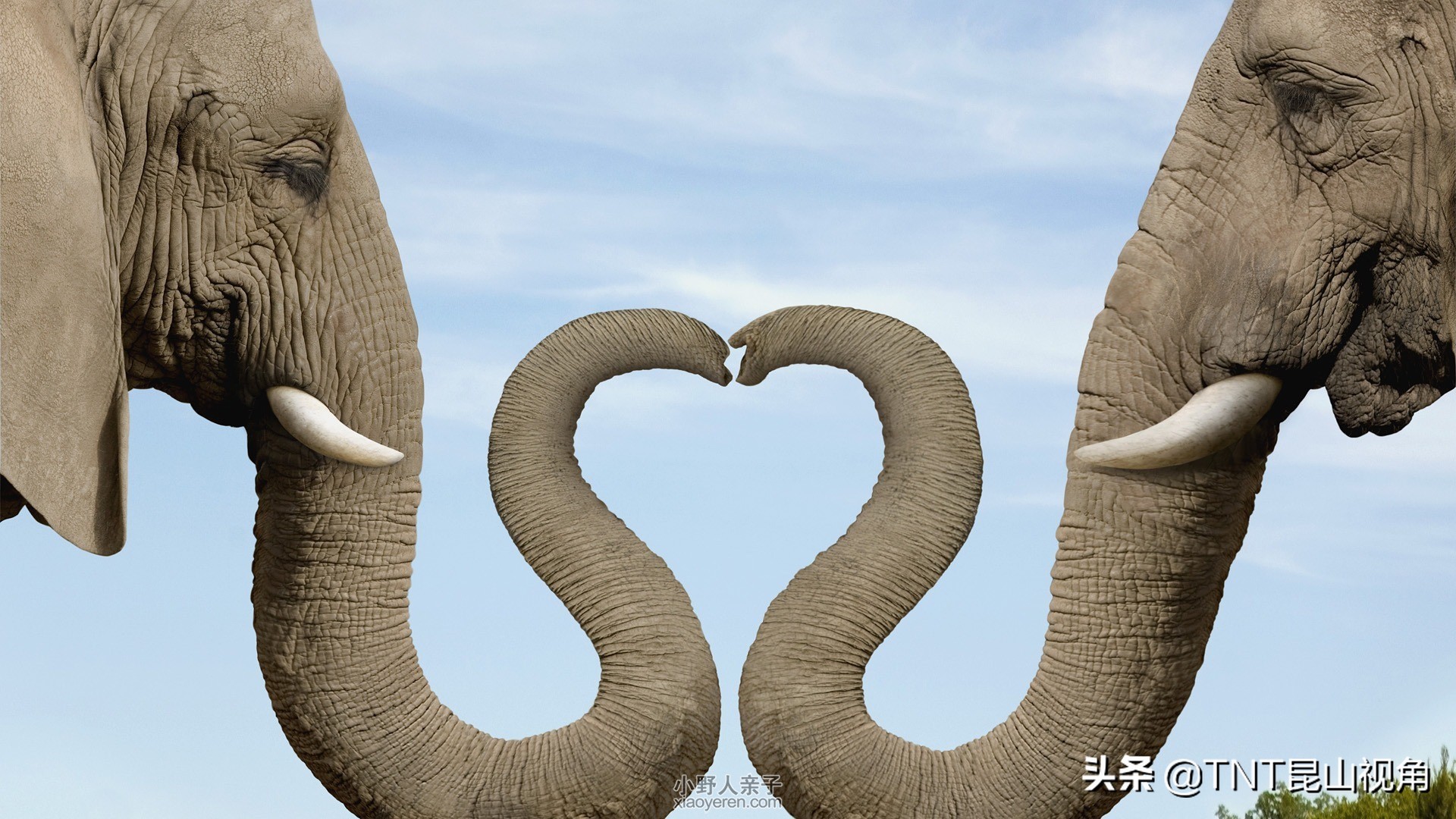 公认全网最薄的避孕套,目前公认最薄避孕套是什么