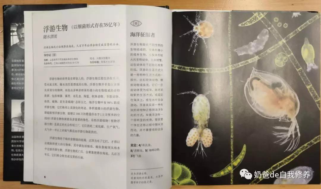 关于动物有趣的书小学生,关于动物好看的书有哪些