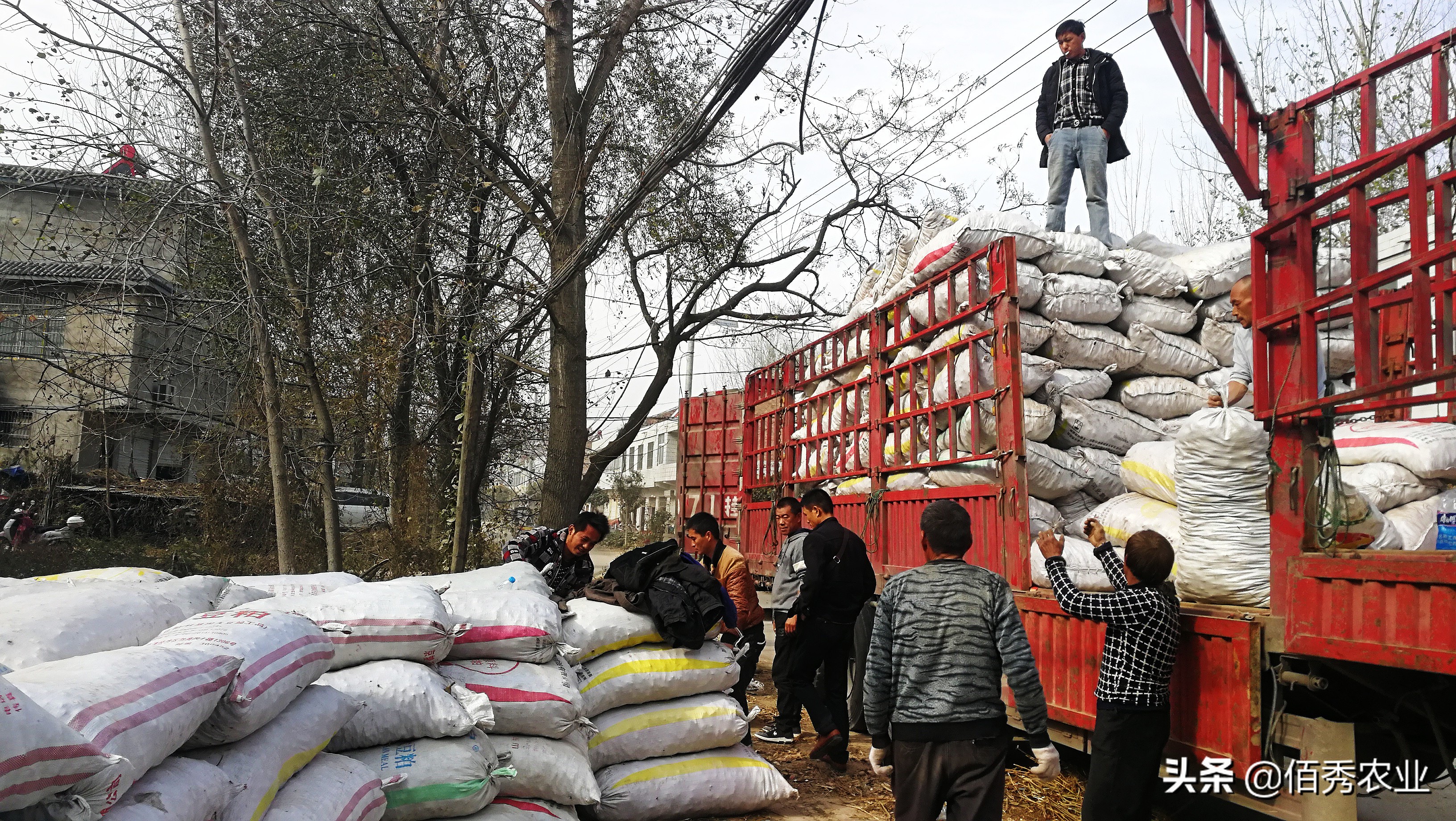 不想打工了在农村干什么可以致富,40岁在农村能做什么养家
