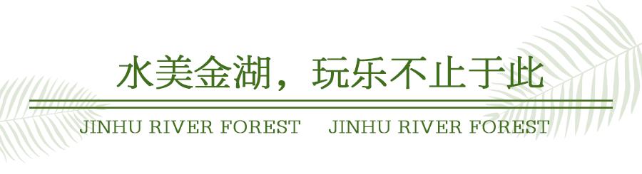 森氧之地，秋游必选！金湖万亩水上森林，真的别有趣味