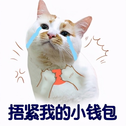 100个宝藏网站推荐,十大免费宝藏网站官网