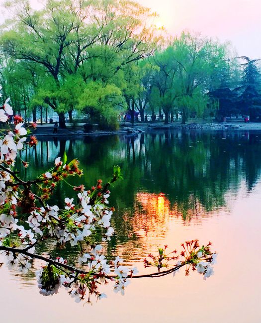 「词风雅韵」李瑾｜一剪梅二十阕