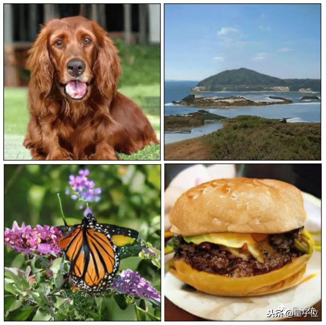 史上最强GAN：训练费10万起，现在免费体验，画风鬼畜又逼真