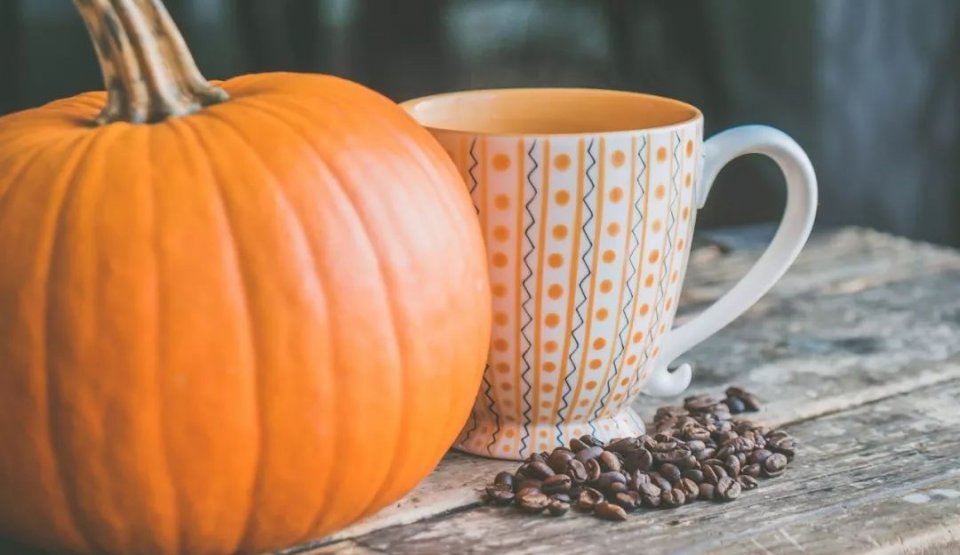 吃南瓜叶子对人体有什么好处,南瓜是抗氧化食物吗