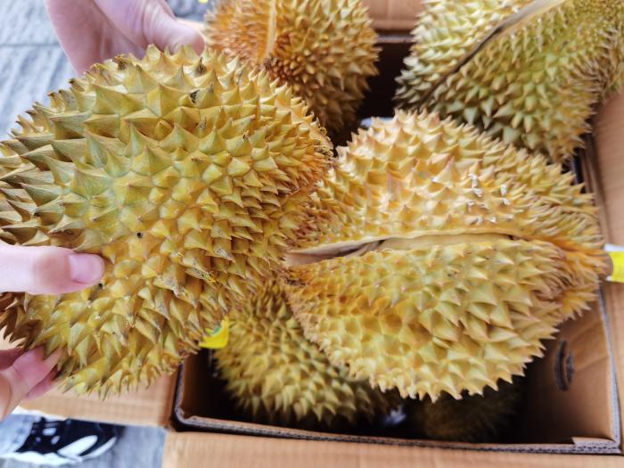 买榴莲避开死包,买榴莲避开大核