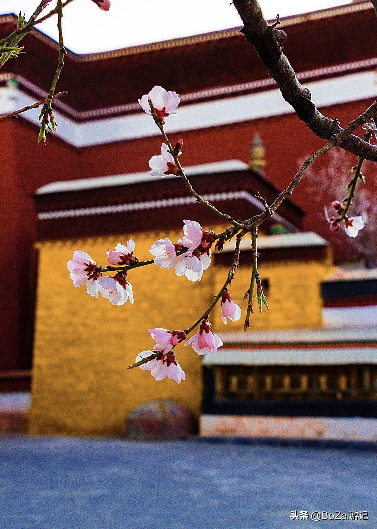 旅游藏西,滇藏线西藏旅游攻略