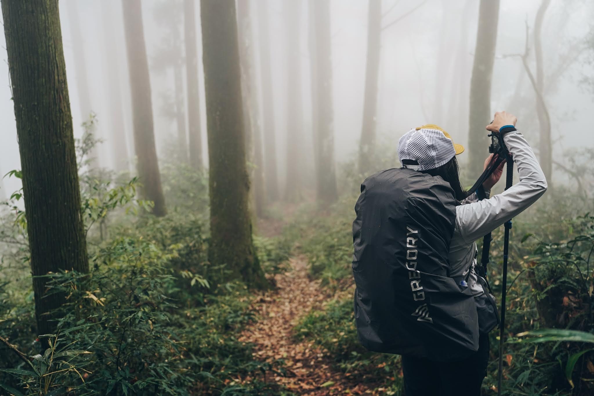 格里高利登山包尺码选择,格里高利双肩背包经典款