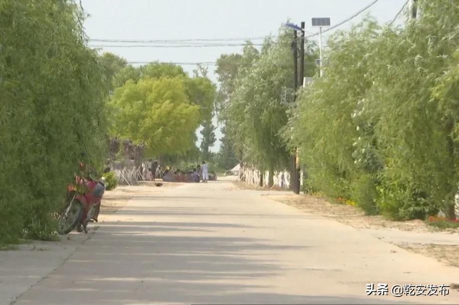 乡村振兴新邵乡镇在行动,乡村振兴再发力宜居宜业谱新篇