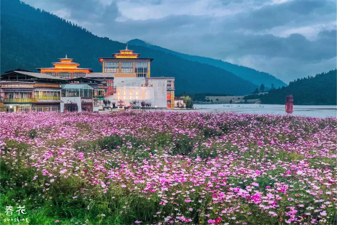 拉林铁路有哪些高铁站,拉林高铁美景