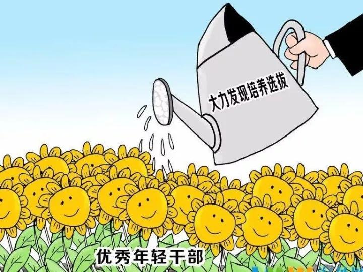 定向选调和基层选调,基层选调和定向选调