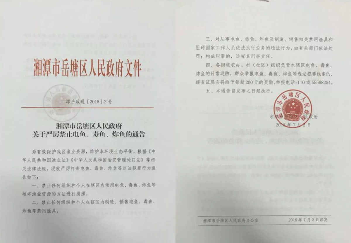 钓鱼遇到虾的技巧,钓鱼碰上渔网怎么办