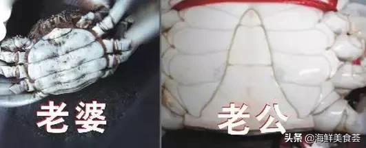 花了3个月，把这些海鲜烹饪方法找齐了，可以召唤神龙了