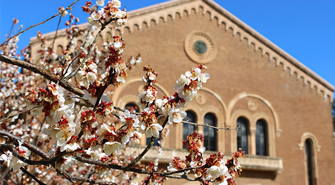 日本的商科是学什么,日本的商科