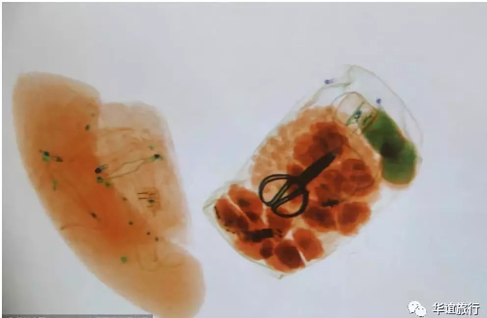 坐飞机出行前准备什么,第1次坐飞机登机前流程