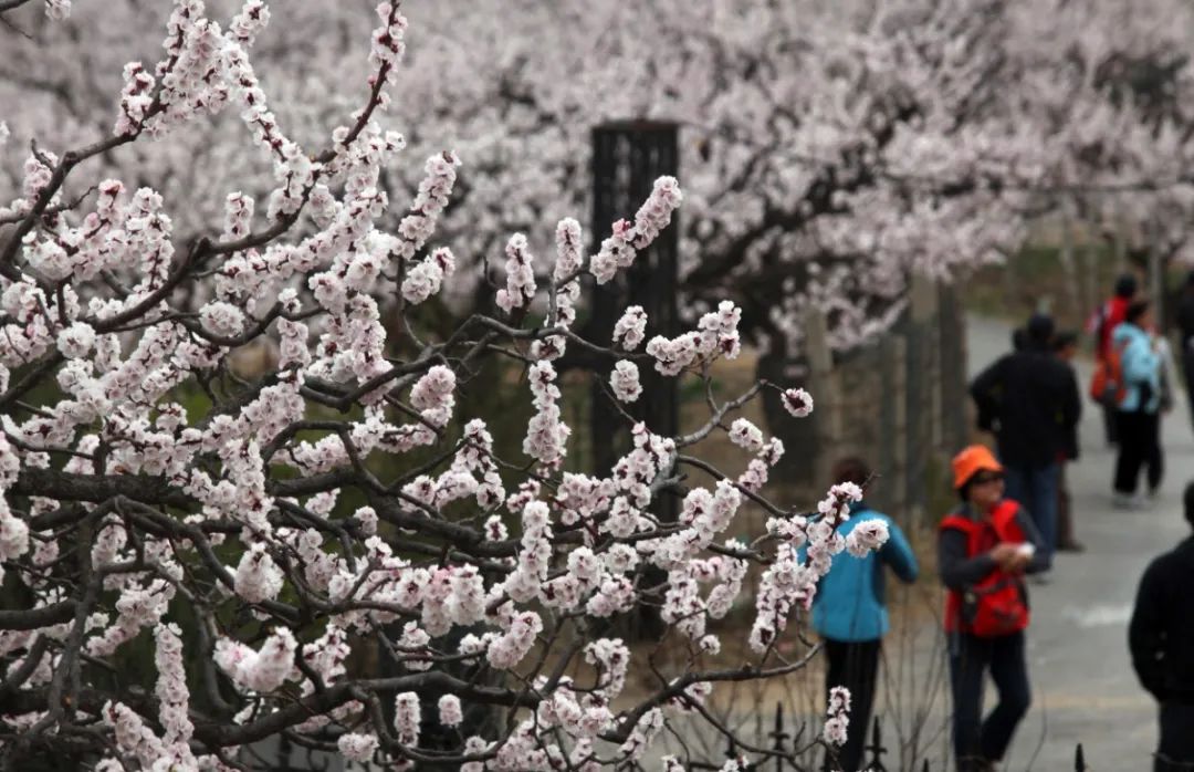 安全出行宝典,北京安全出游好去处