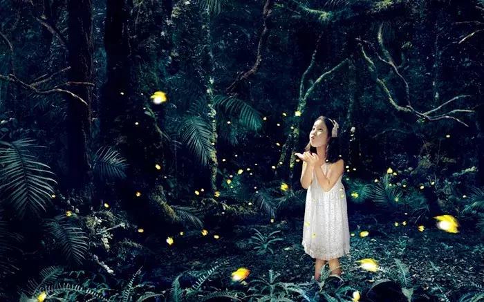 马来西亚的海,马来西亚的最美海是什么样的