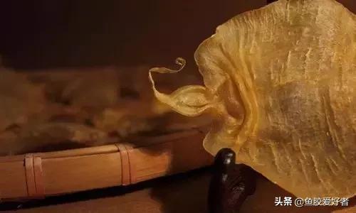 花胶涨发的正确方法,花胶的种类及区别