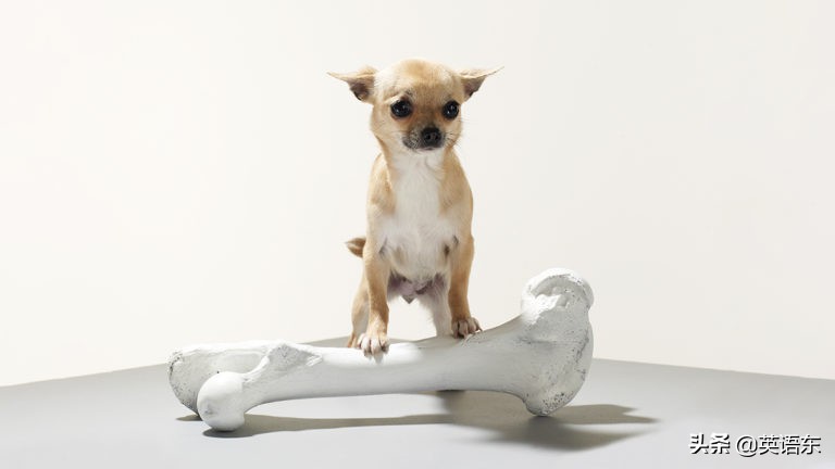 哈佛研究一个人有出息的六大特征,哈佛商学院教我的成功之道