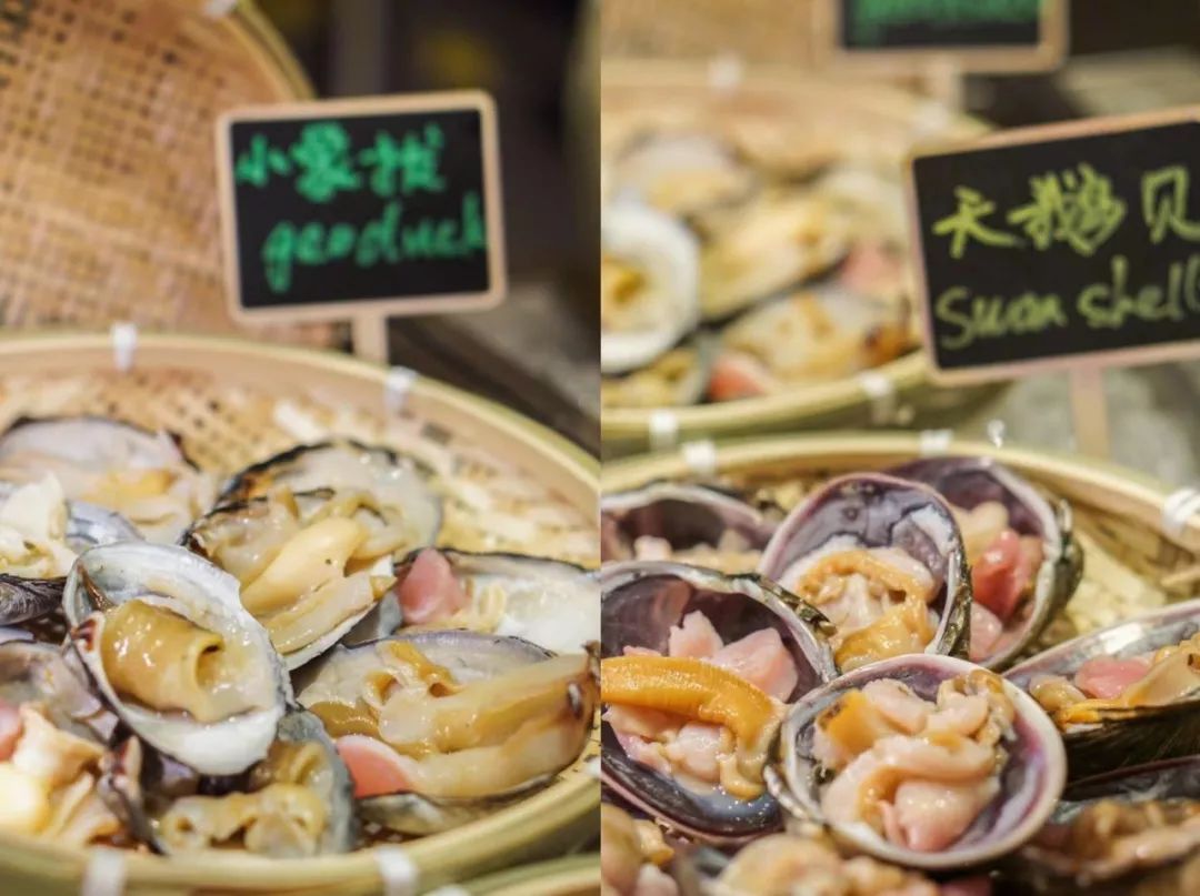 ¥168/位-海参花胶捞饭畅吃！小象拔蚌、天鹅贝、东南亚料理畅吃