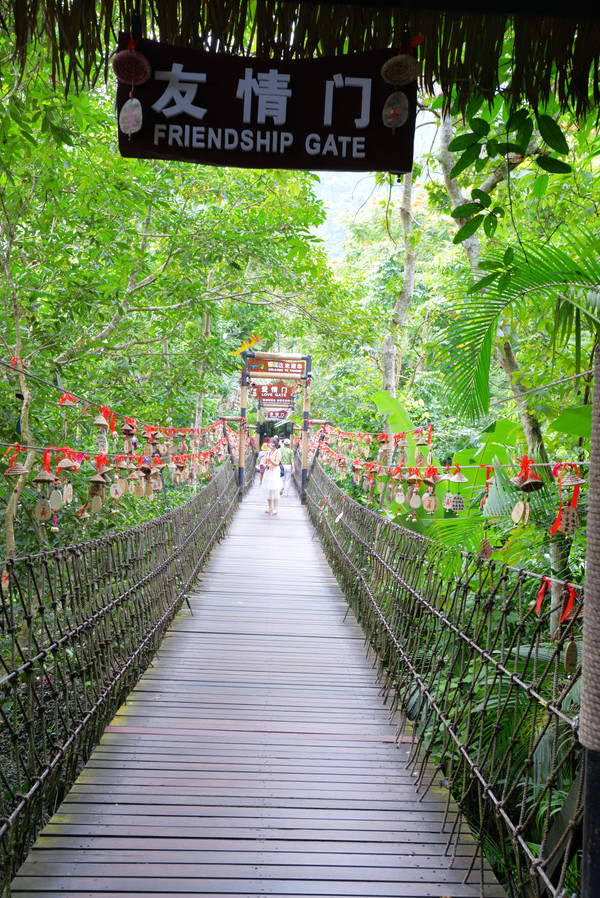 海南呀诺达热带雨林文化旅,三亚诺达雨林旅游攻略