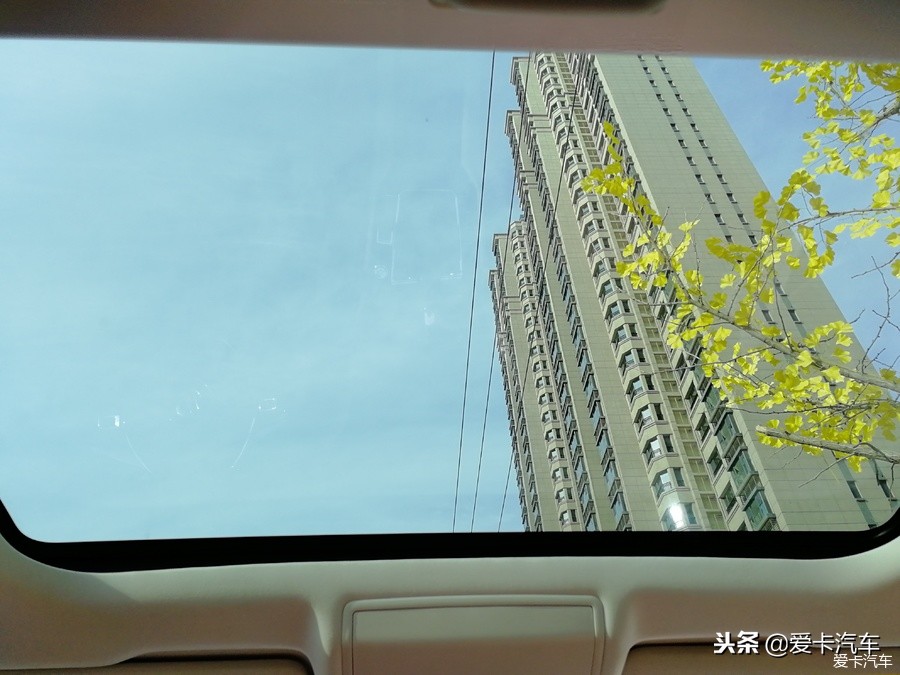 凌冬将至，我的“辣馒头”大众凌渡