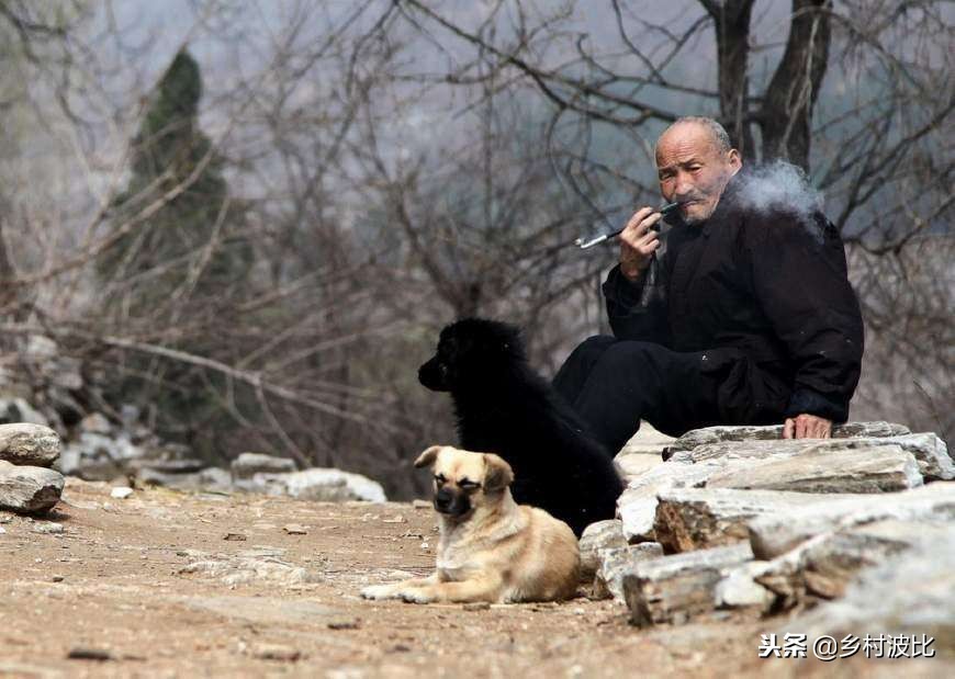 宅后有池塘是什么预兆,宅后有池塘的说法