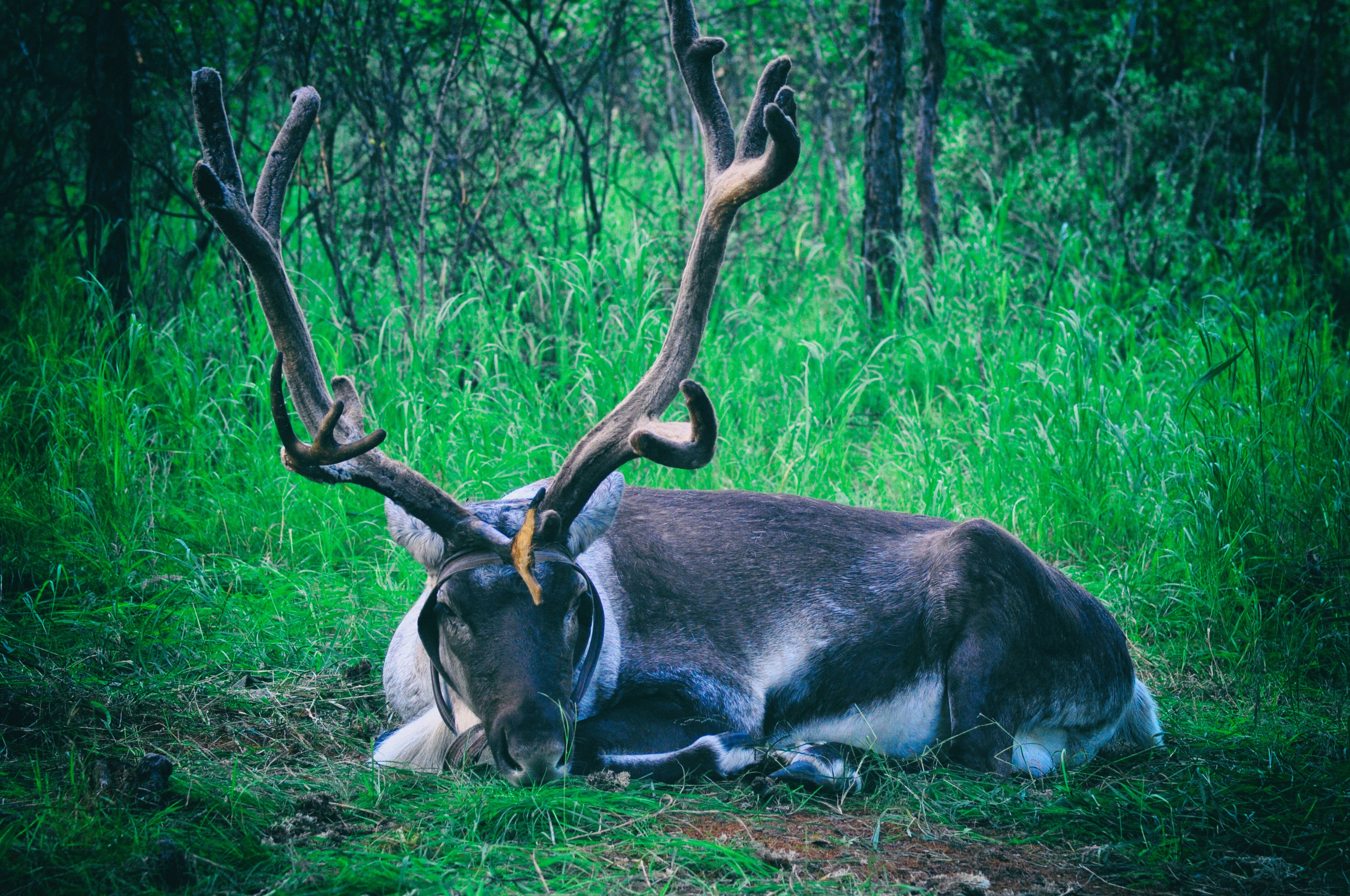 东北边疆,东北行游记2019