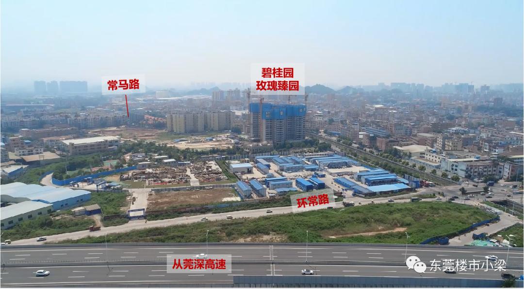 疫情后楼盘首开,东莞碧桂园玫瑰臻园户型图