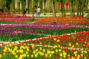 新疆兵团五家渠市简介,新疆五家渠今后发展