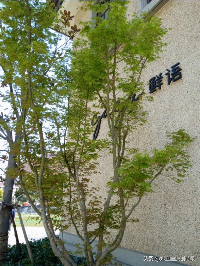 遇见又能怎样,哪怕遇见再大的风浪