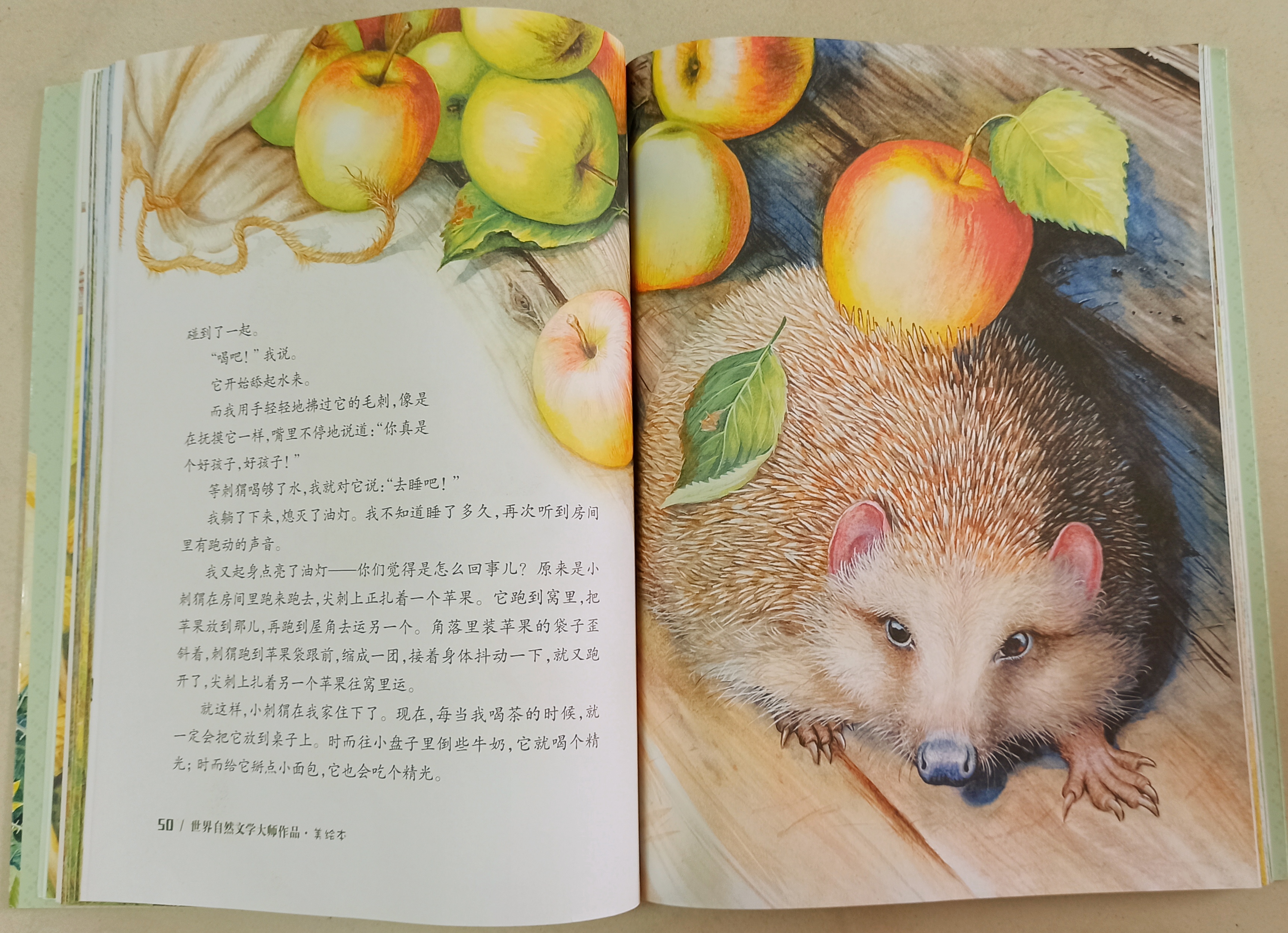 月光下的刺猬，那是儿时的纯真