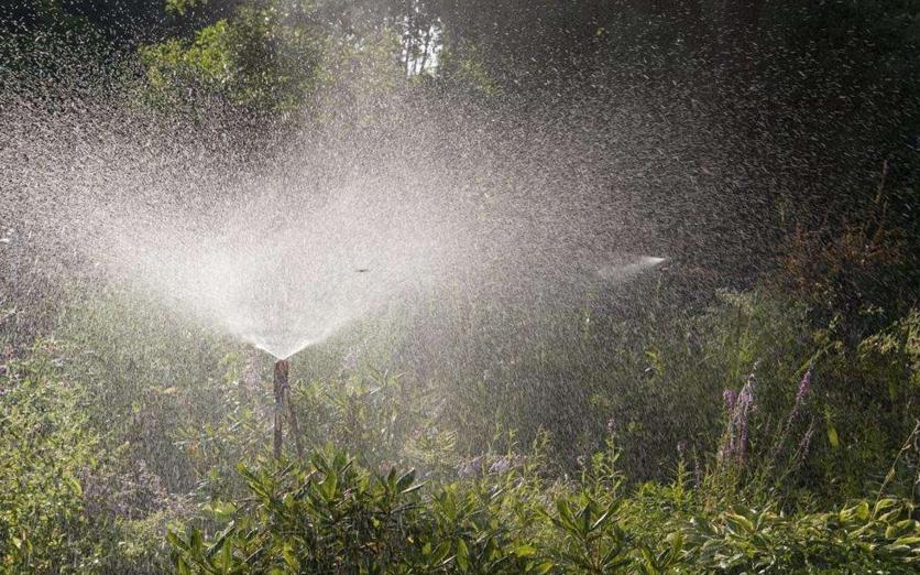 湿气重吃归脾还是健脾,中医关于食疗祛湿气的论述