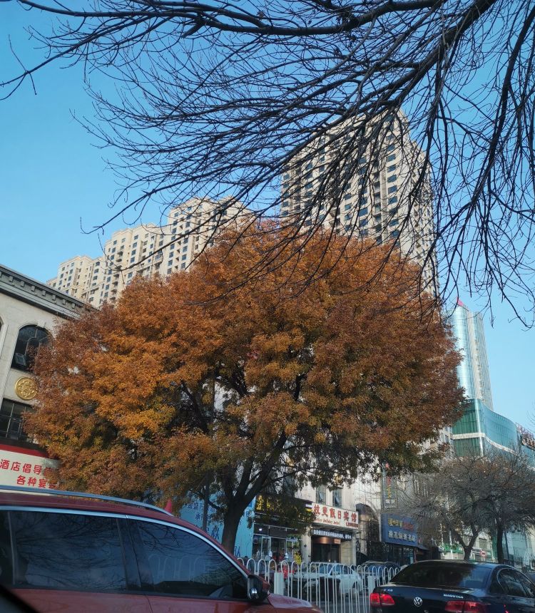 唐山楼市下行，应该如何买房？最应该考虑的因素是什么？