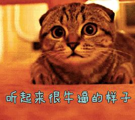 汽修人员都犯过哪些错误,汽修人遇到的那些事