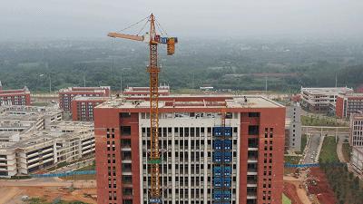 vr直播24小时,vr直播广西